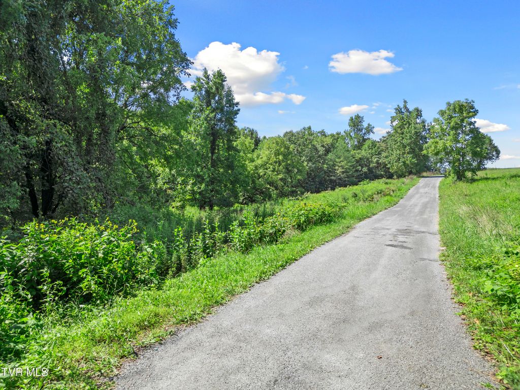 Photo of 19 Cecil Davis Road, Greeneville, TN 37743 (MLS # 9976457)