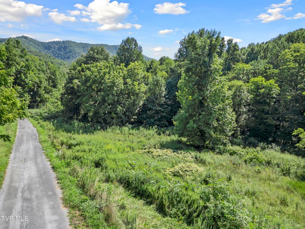 Photo of 19 Cecil Davis Road, Greeneville, TN 37743 (MLS # 9976457)