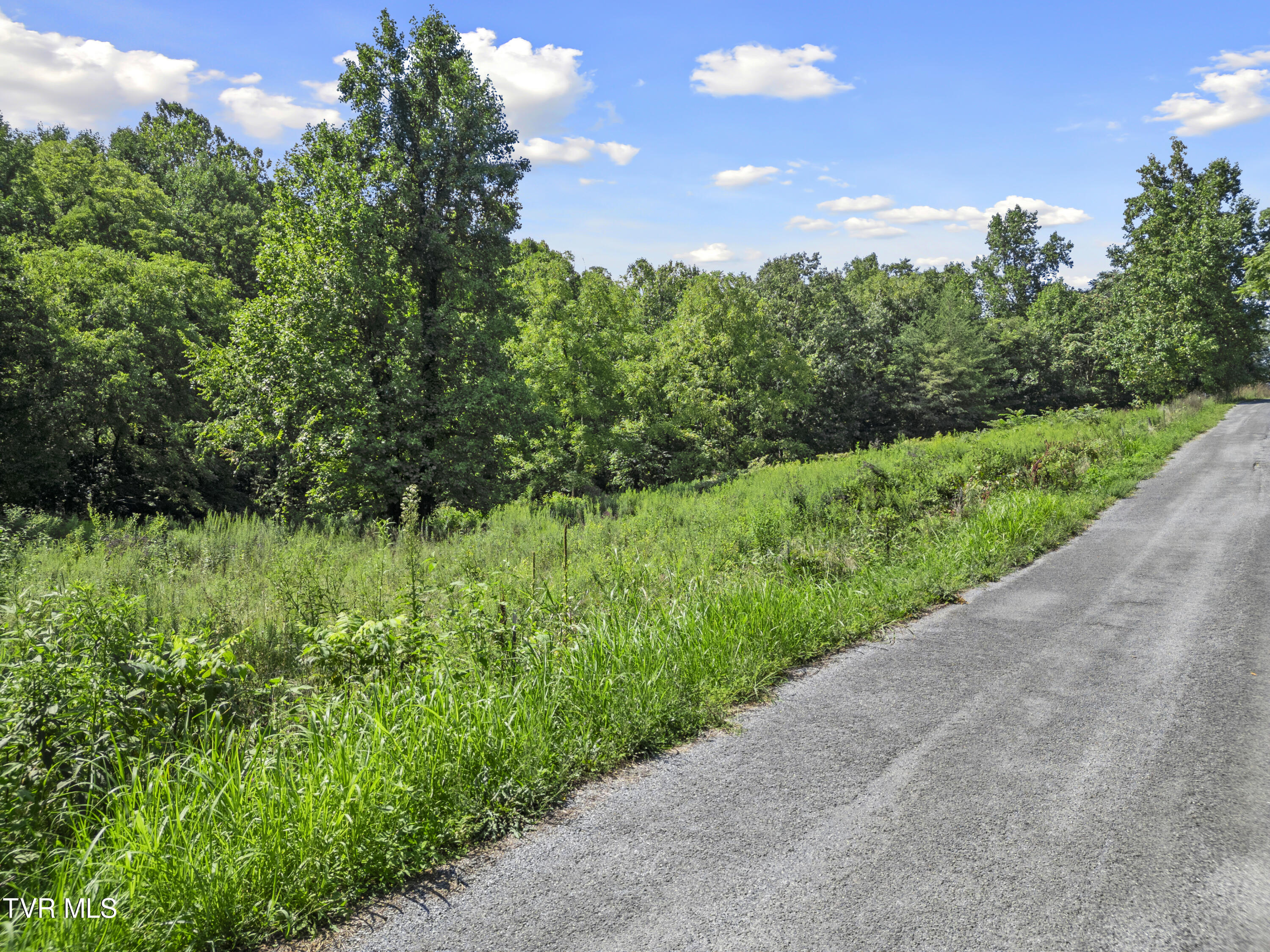 1.9 Acres Cecil Davis Road, Greeneville, Tennessee image 10