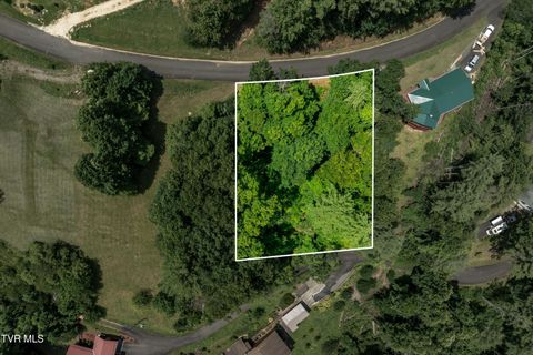 Vacant Land For Sale - LOT 5 Lake Ridge Road<br/> Johnson County, Butler, TN 37640