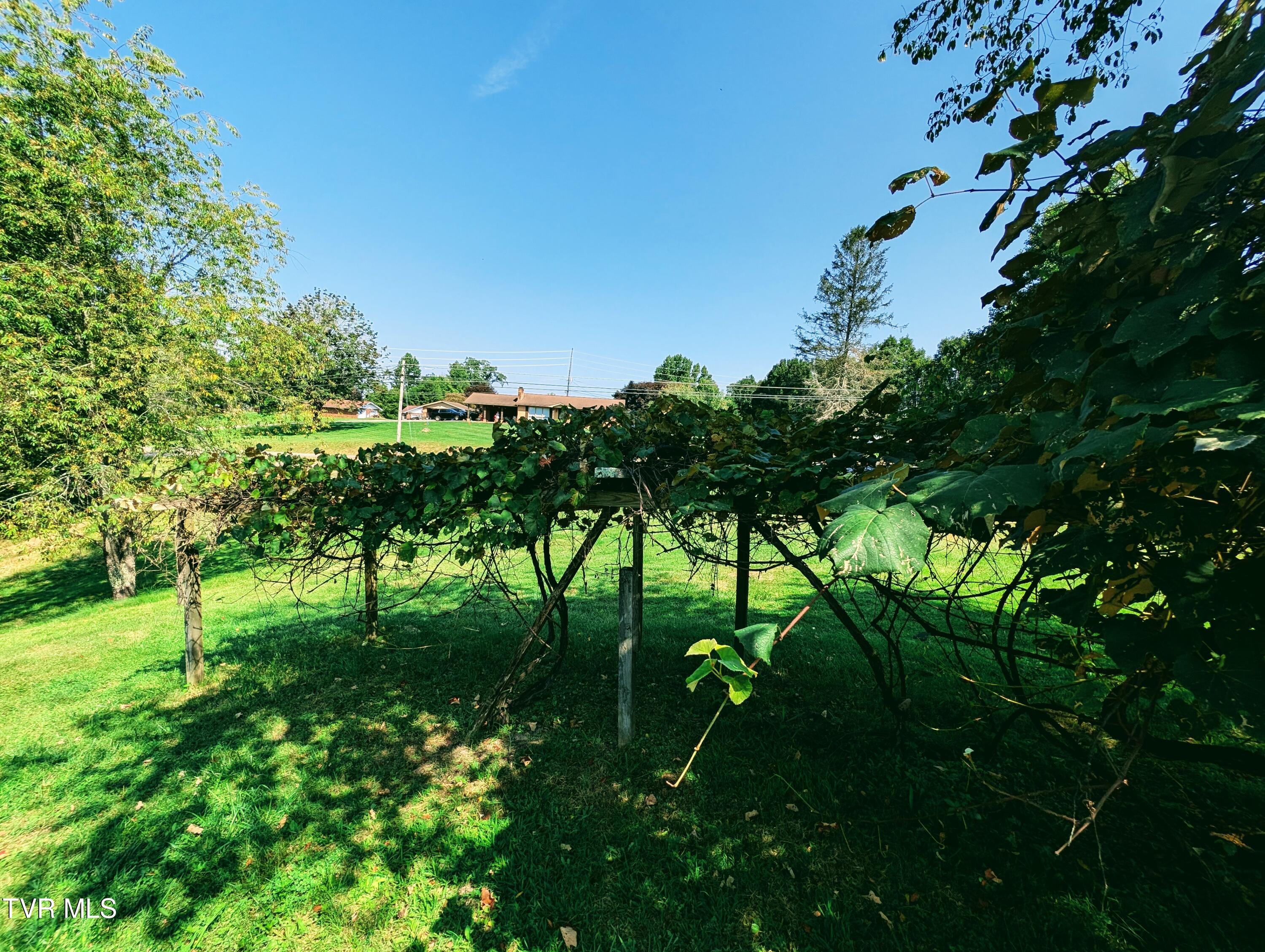 2509 Dc Caney Ridge Road, Clintwood, Virginia image 28