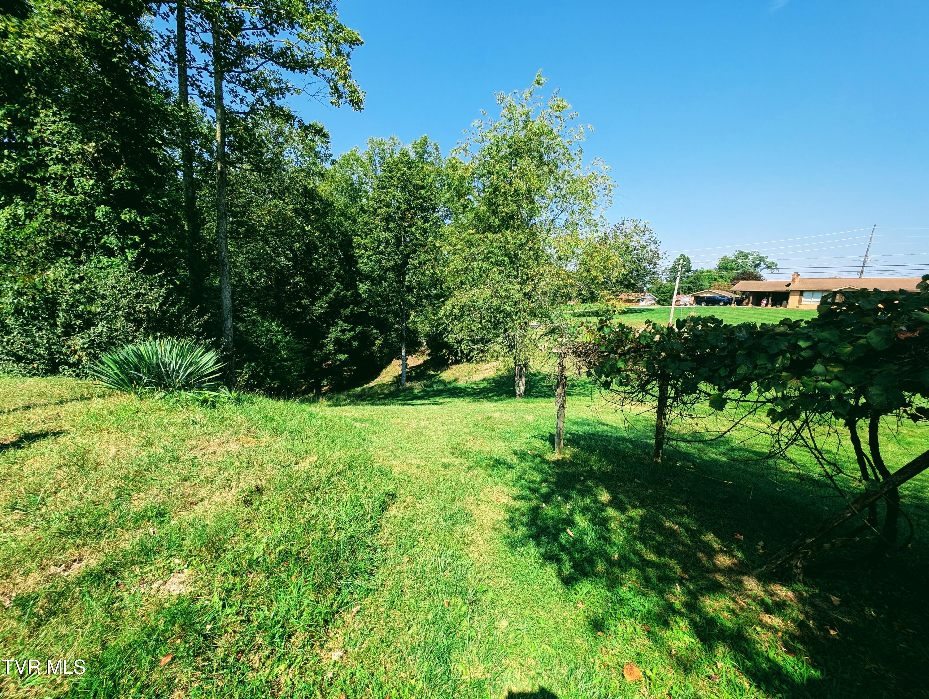 2509 Dc Caney Ridge Road, Clintwood, Virginia image 29