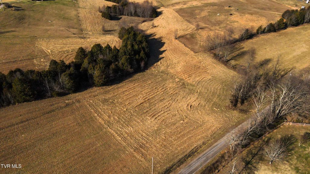 Photo of 13720 Kingsport Highway, Chuckey, TN 37641 (MLS # 9990301)