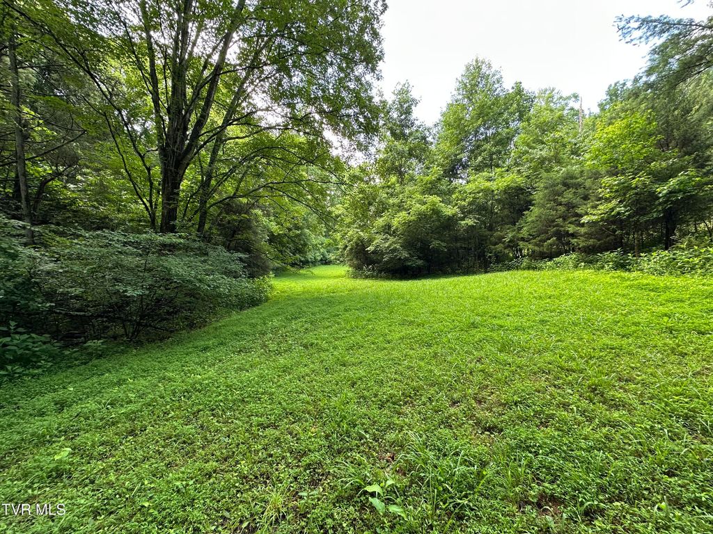 Photo of Tbd Haw Ridge Rd, Piney Flats, TN 37686 (MLS # 9982529)
