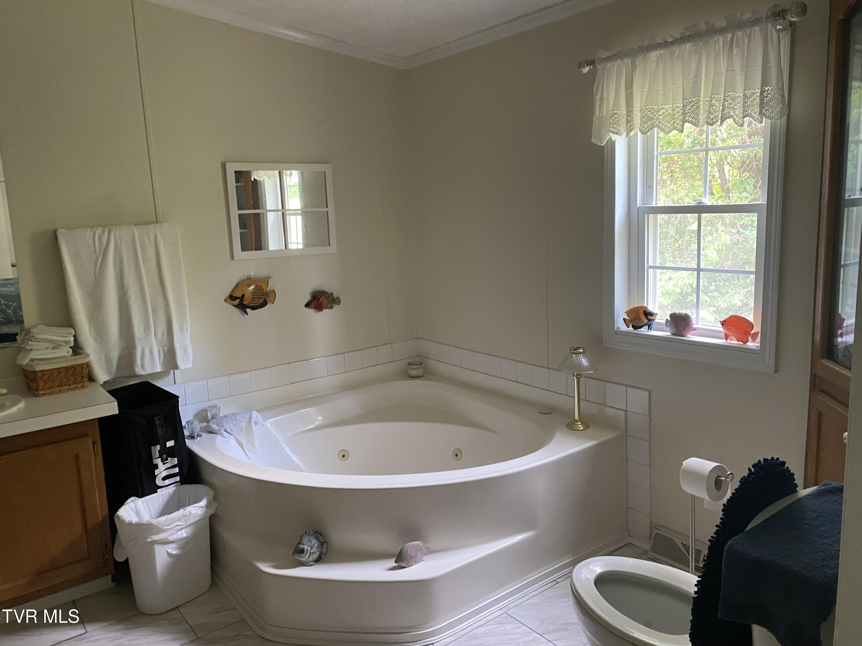 3516 Little Warrensburg Road, Midway, Tennessee image 16