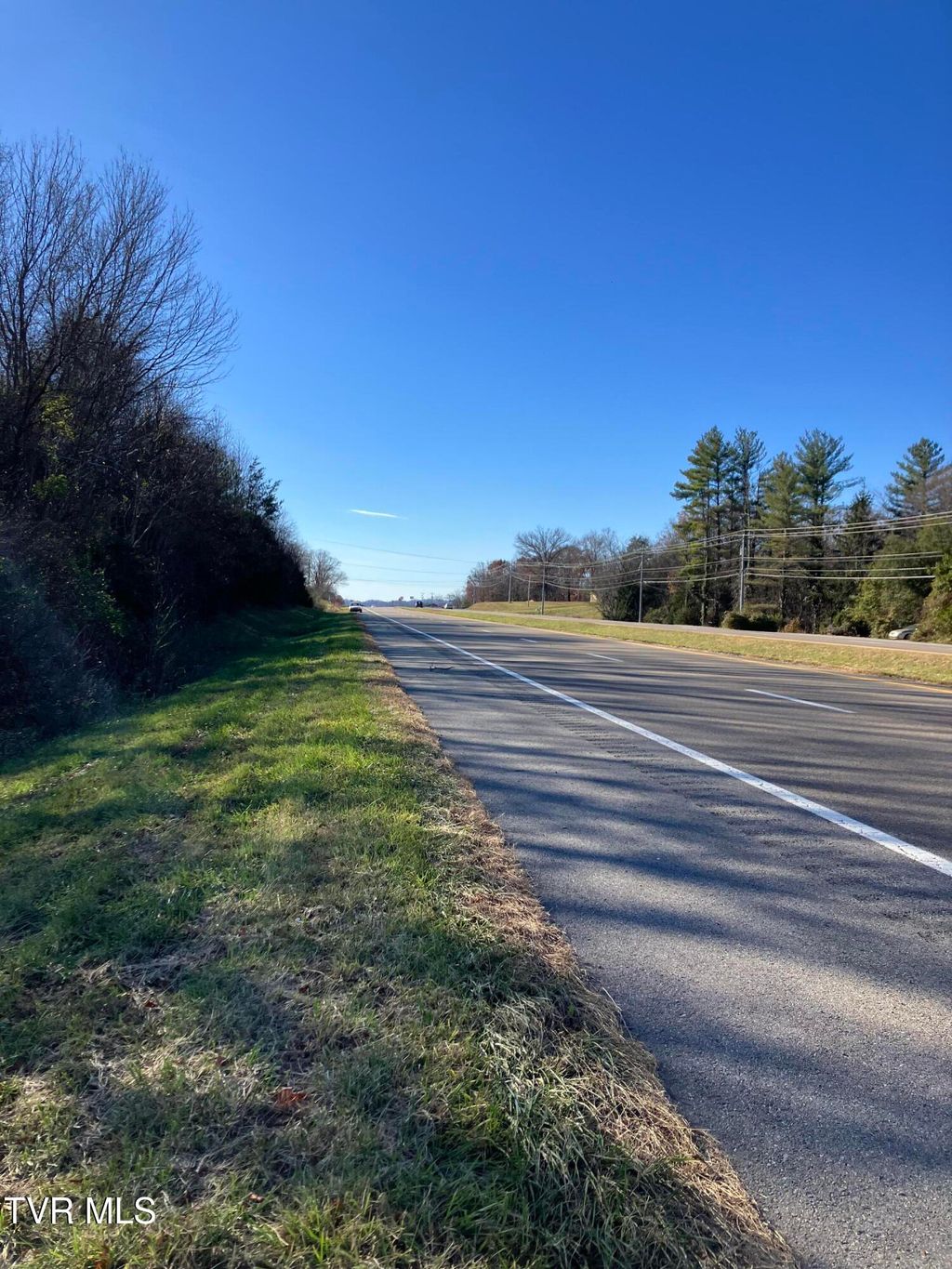 Photo of Tbd Highway 11e, Telford, TN 37690 (MLS # 9988393)