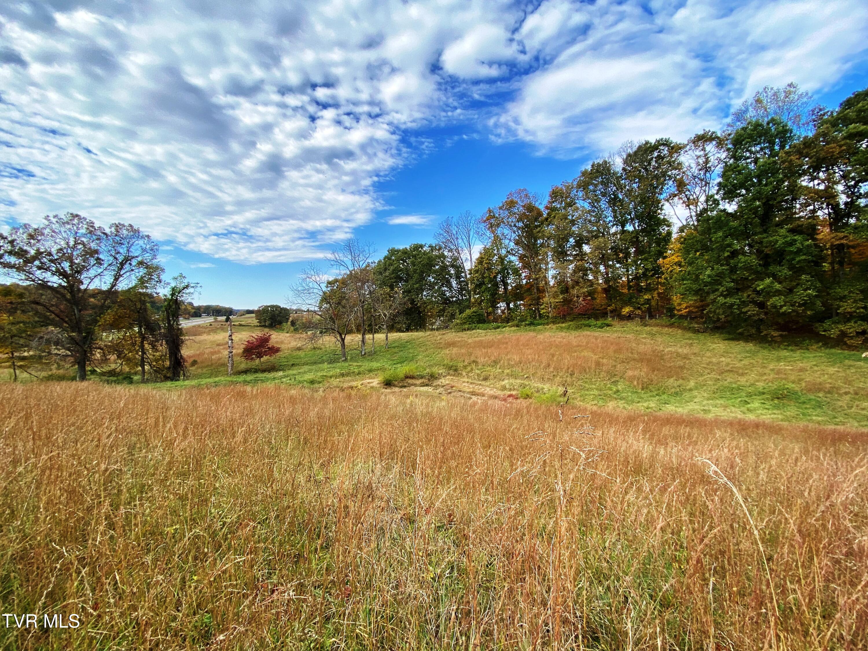 Tbd Hwy 11w, Surgoinsville, Tennessee image 5