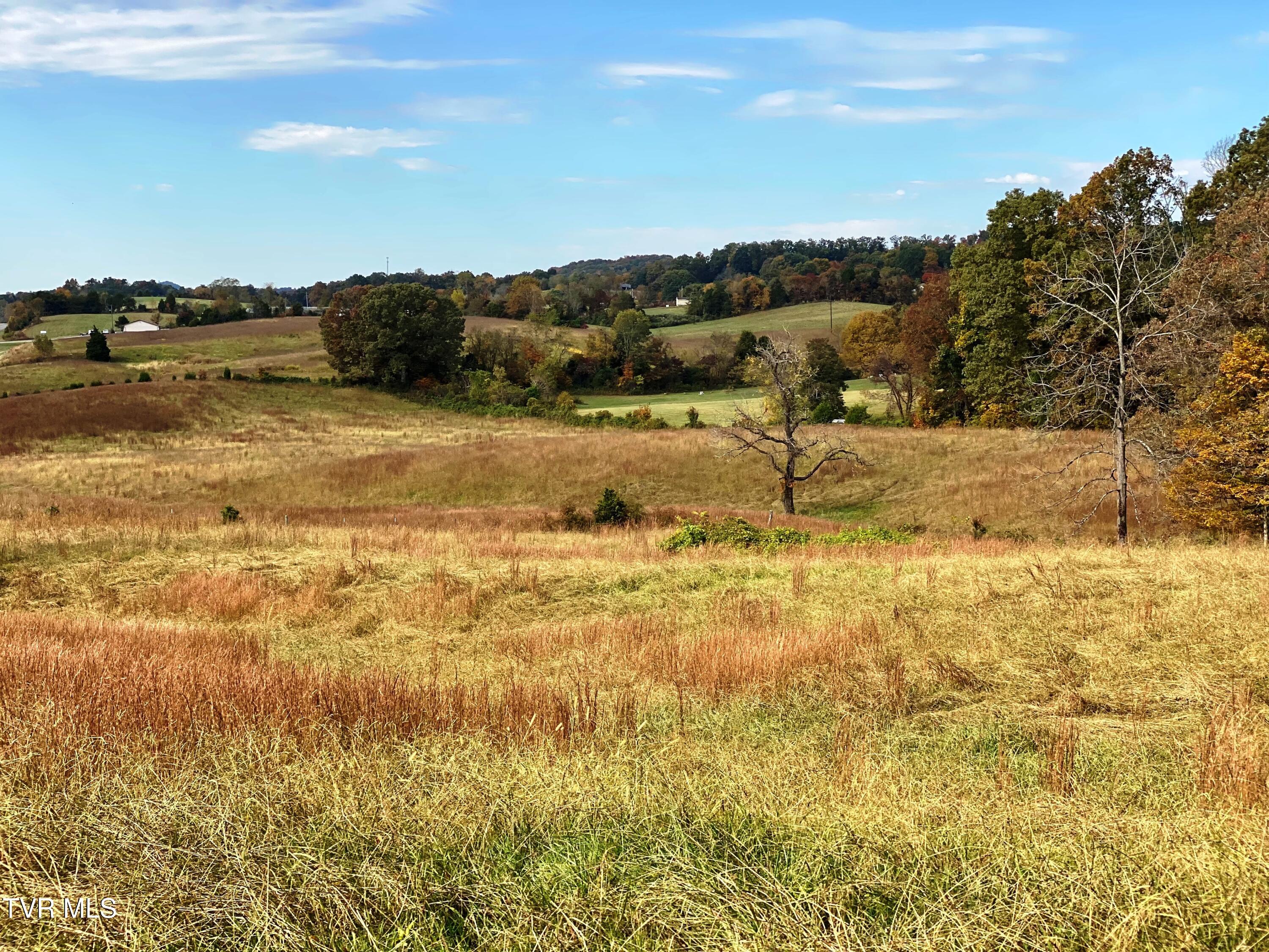 Tbd Hwy 11w, Surgoinsville, Tennessee image 9