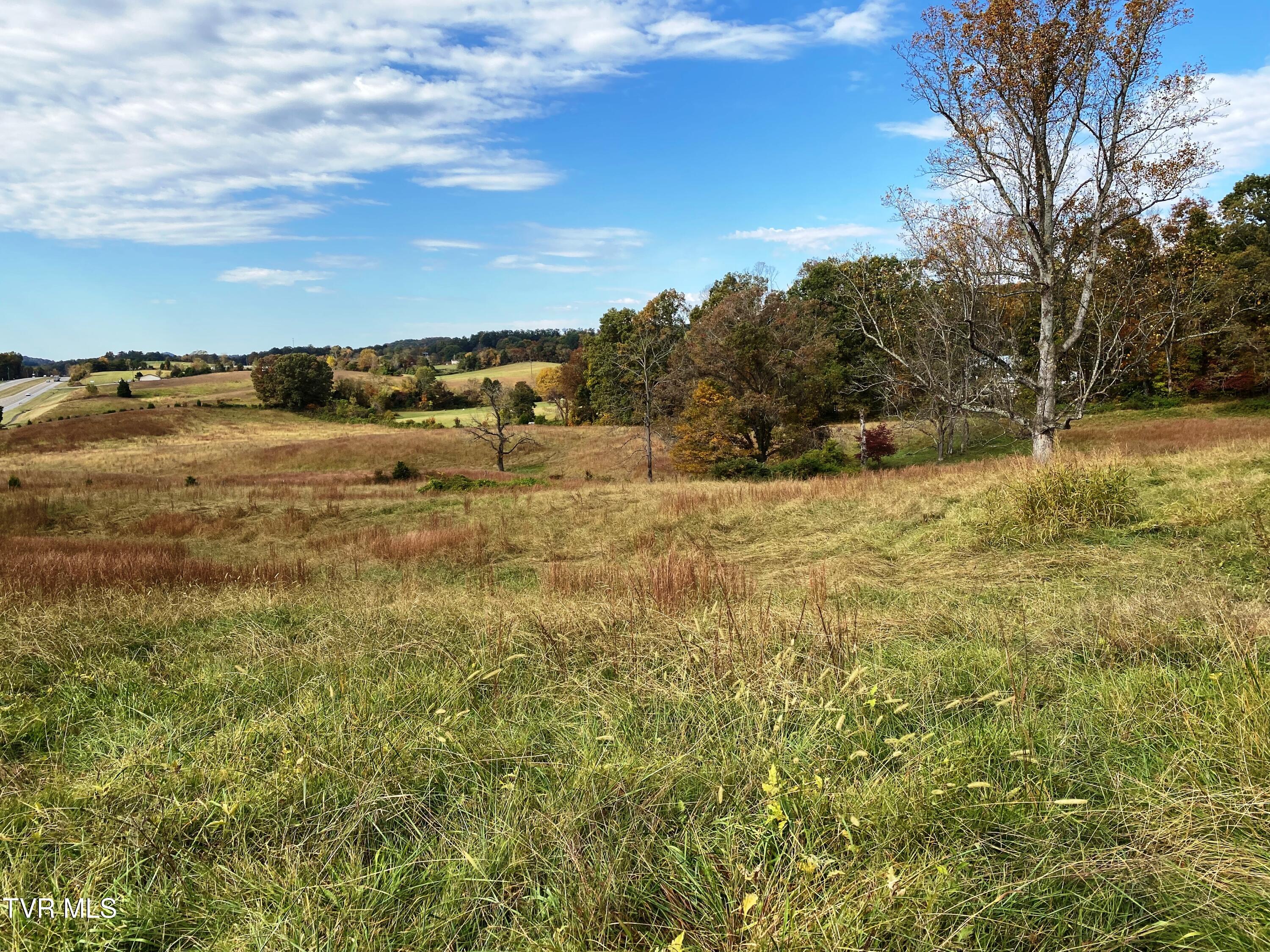 Tbd Hwy 11w, Surgoinsville, Tennessee image 11