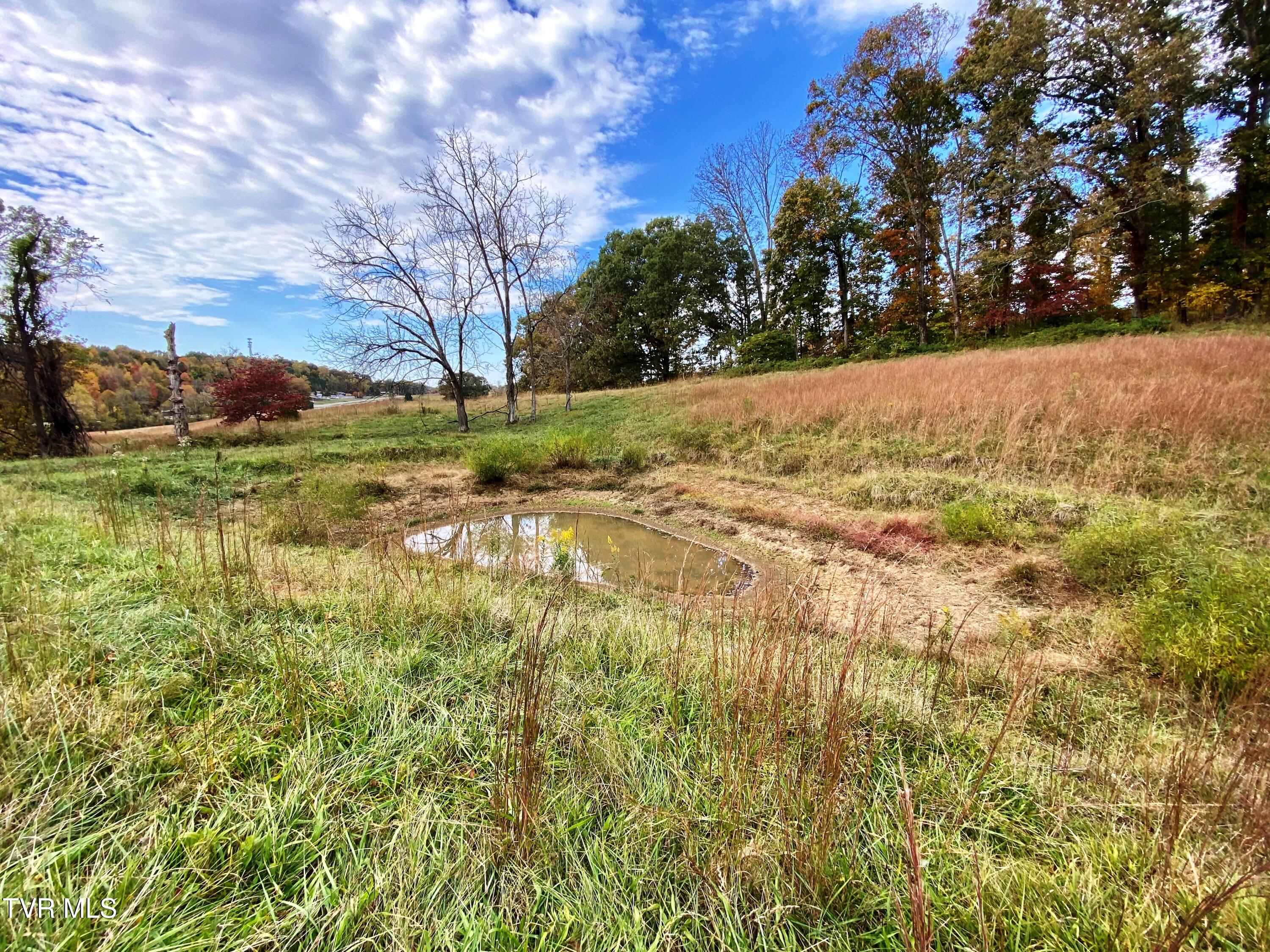 Tbd Hwy 11w, Surgoinsville, Tennessee image 6