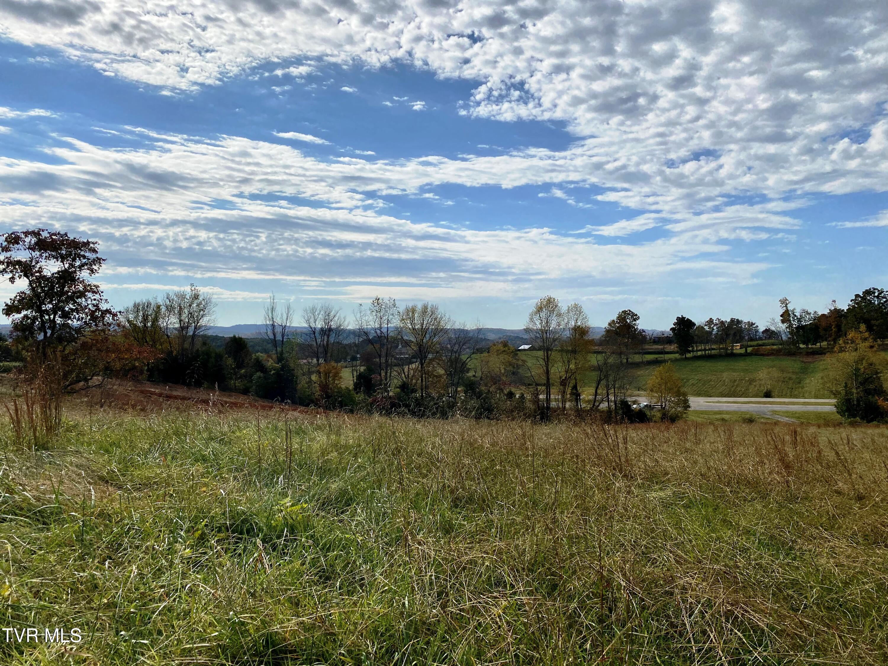 Tbd Hwy 11w, Surgoinsville, Tennessee image 12