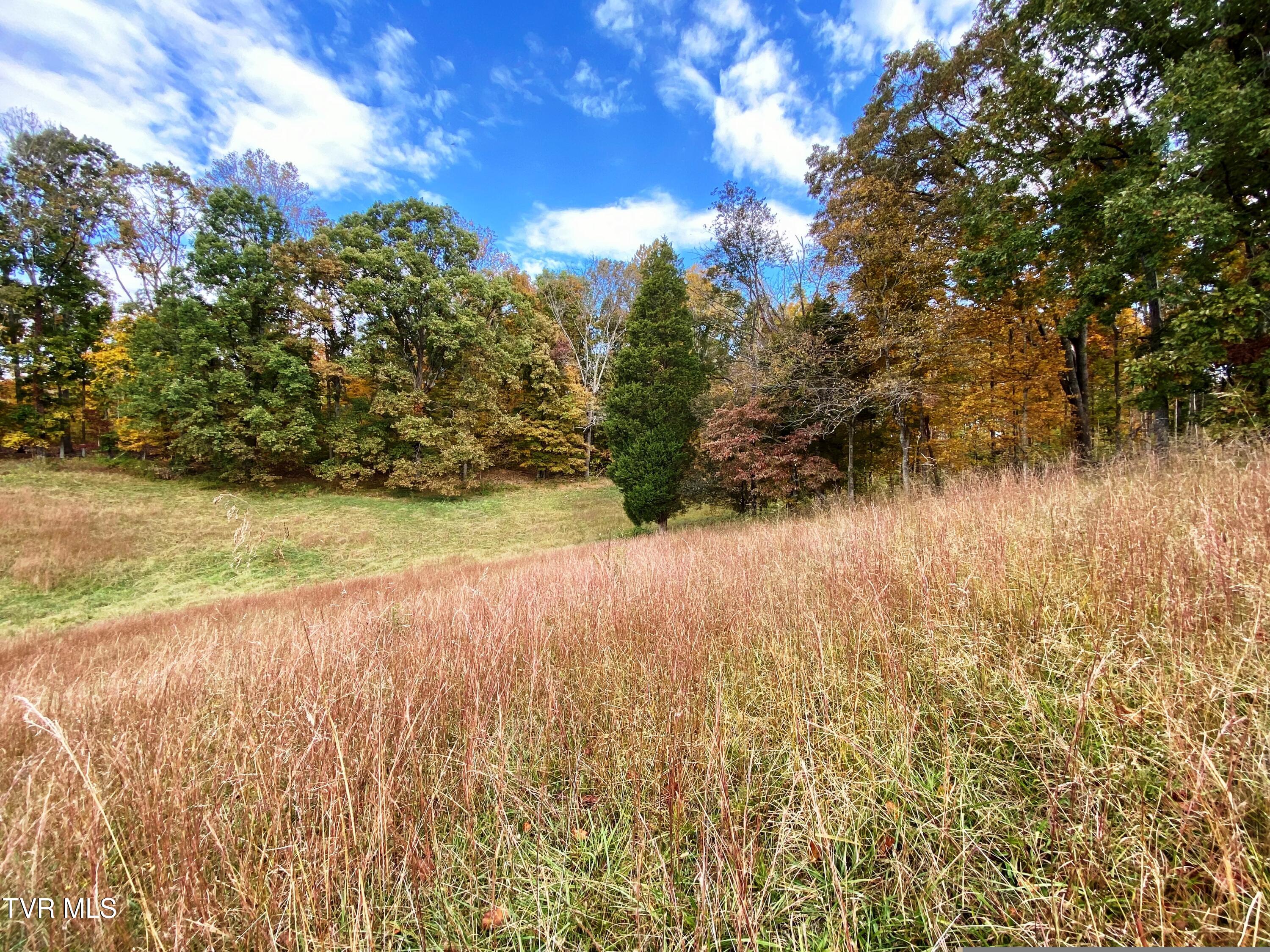 Tbd Hwy 11w, Surgoinsville, Tennessee image 7
