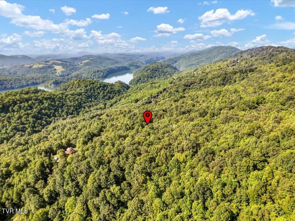 Photo of 508 Hidden Springs Road, New Tazewell, TN 37825 (MLS # 9987096)