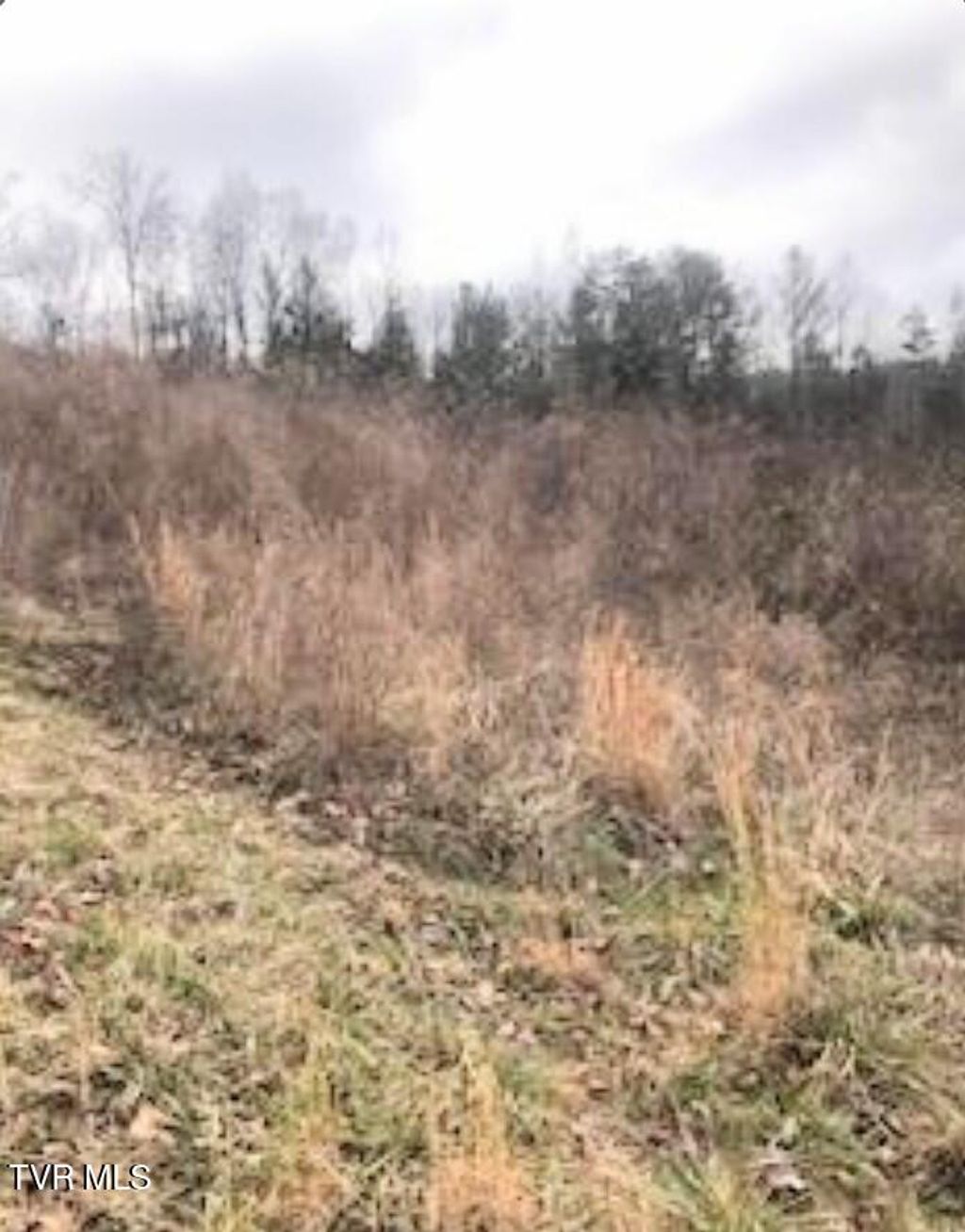 Photo of Tbd Pinnacle Pointe Way, Sharps Chapel, TN 37866 (MLS # 9991771)