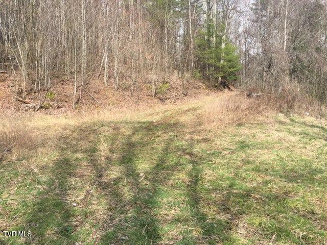 00 Heaton Branch Road, Roan Mountain, Tennessee image 8