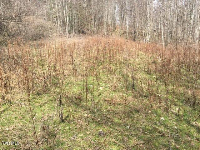 00 Heaton Branch Road, Roan Mountain, Tennessee image 6