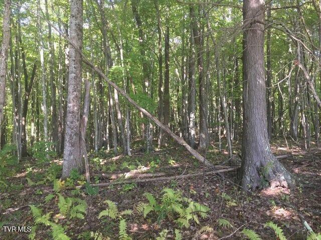 00 Heaton Branch Road, Roan Mountain, Tennessee image 10