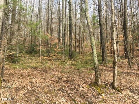 Vacant Land For Sale - Heaton Branch Road<br/> Roan Mountain, TN 37687