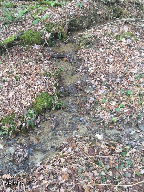 00 Heaton Branch Road, Roan Mountain, Tennessee image 13