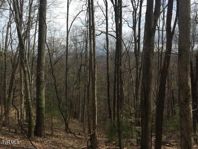 00 Heaton Branch Road, Roan Mountain, Tennessee image 4