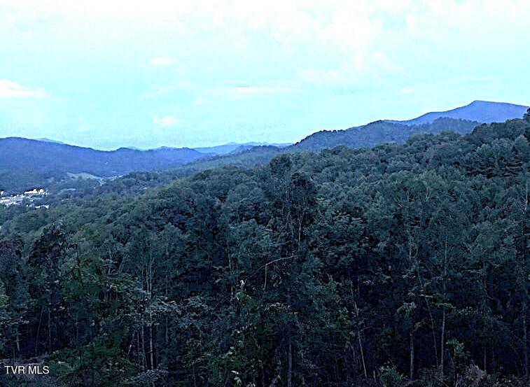 Photo of Tbd Laurel Highlands Road, Roan Mountain, TN 37687 (MLS # 9999045)