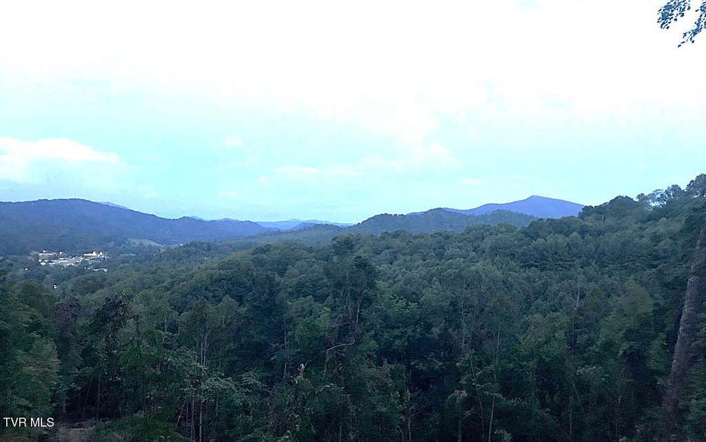 Photo of Tbd Laurel Highlands Road, Roan Mountain, TN 37687 (MLS # 9999045)