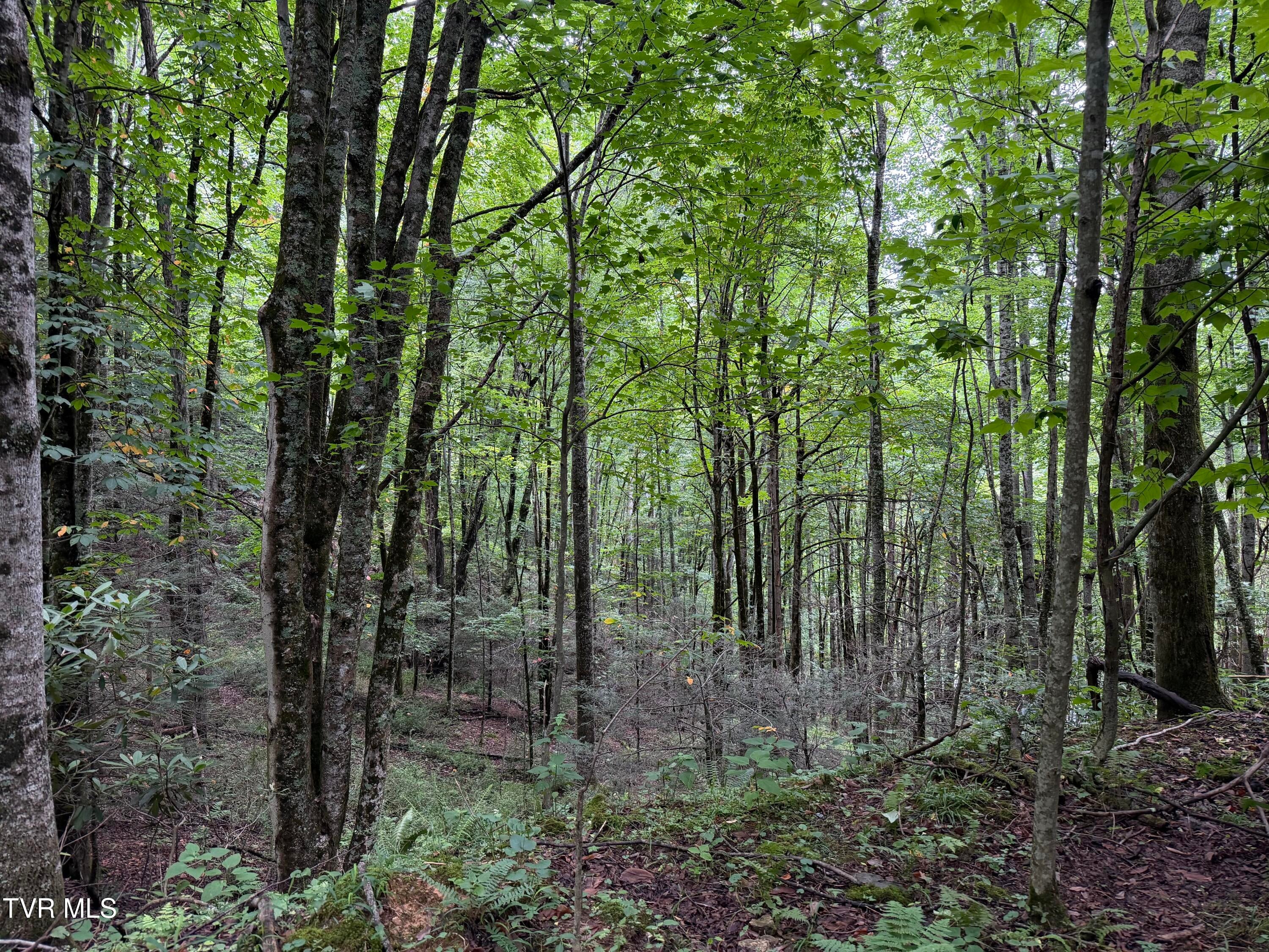 Tbd Laurel Highlands Road