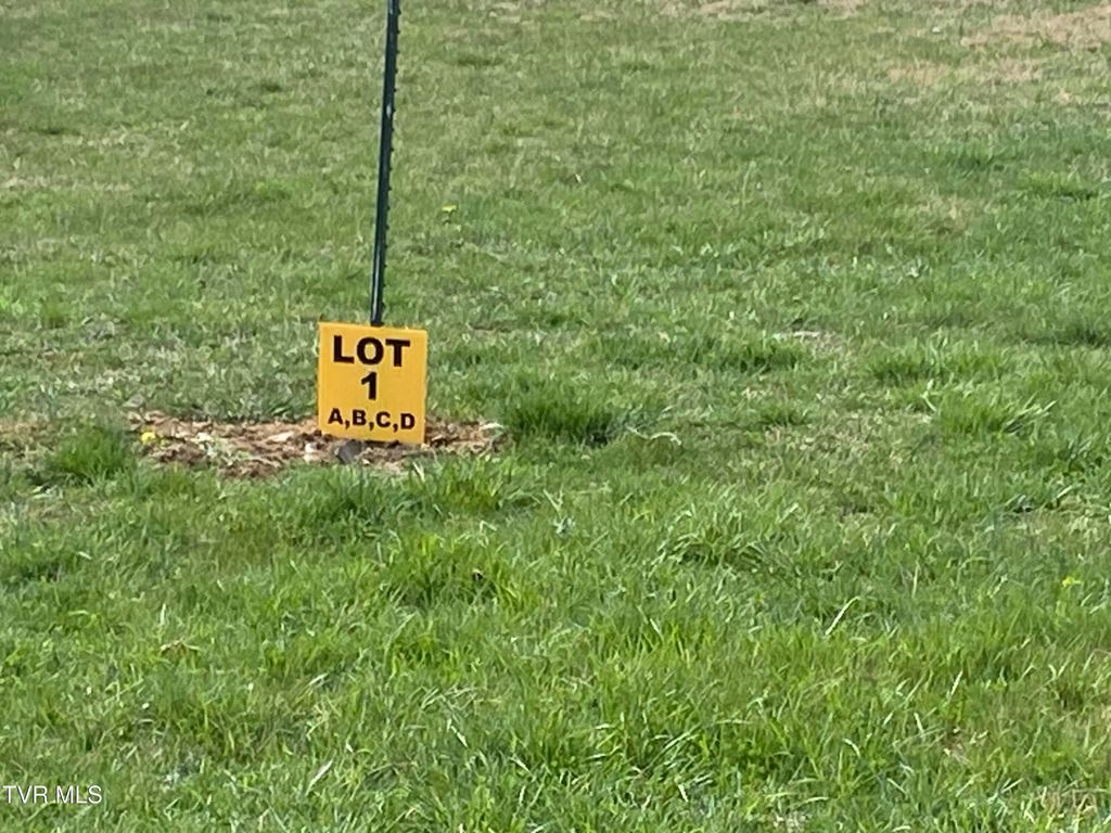 Photo of 1 Riley Street, Lebanon, VA 24266 (MLS # 9980290)