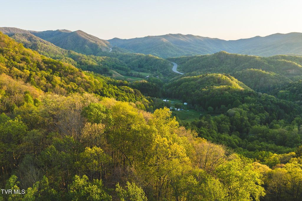 Photo of Tbd Cole Road, Flag Pond, TN 37657 (MLS # 9994583)