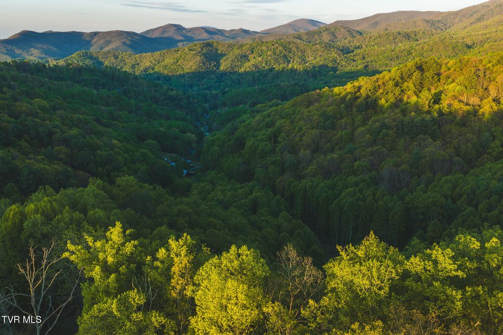 Photo of Tbd Cole Road, Flag Pond, TN 37657 (MLS # 9994583)