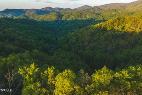 Vacant Land For Sale - TBD Cole Road<br/> Unicoi County, Flag Pond, TN 37657