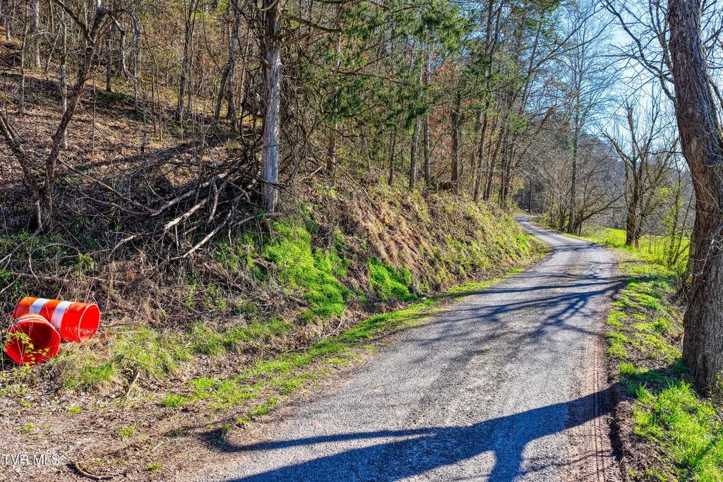 Photo of Tbd War Valley Road, Rogersville, TN 37857 (MLS # 9993394)