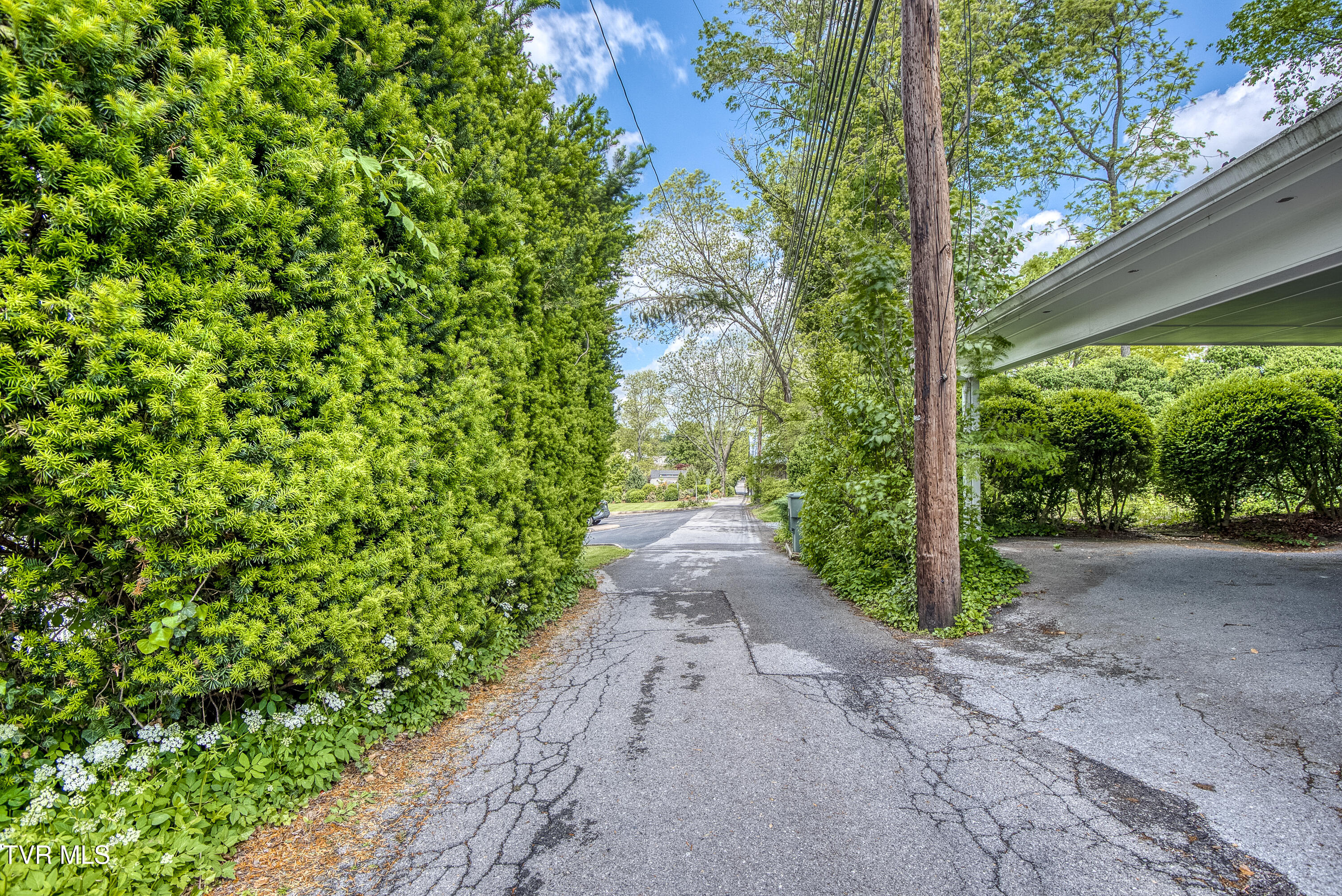 210 Valley Street, Abingdon, Virginia image 30