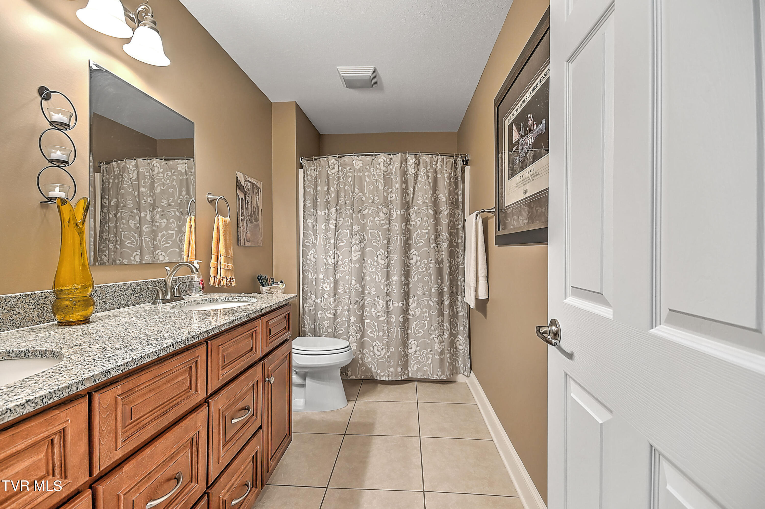 376 Hamilton Drive, Blountville, Tennessee image 27