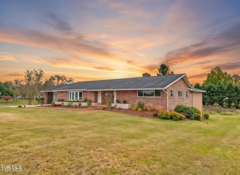 Photo of 1620 Erwin Highway, Greeneville, TN 37745 (MLS # 9988022)