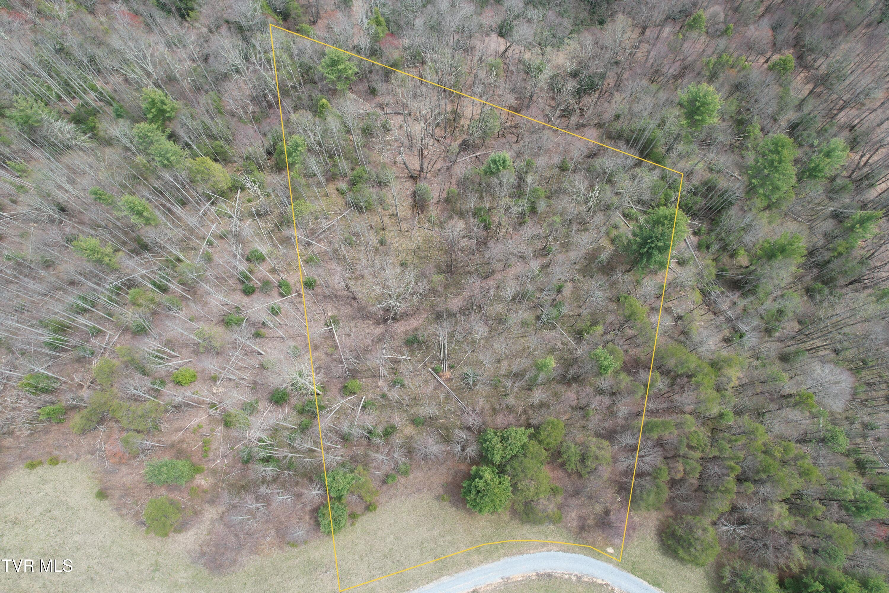 Lot 5 Walnut Mtn Farm Loop Road, Butler, Tennessee image 3