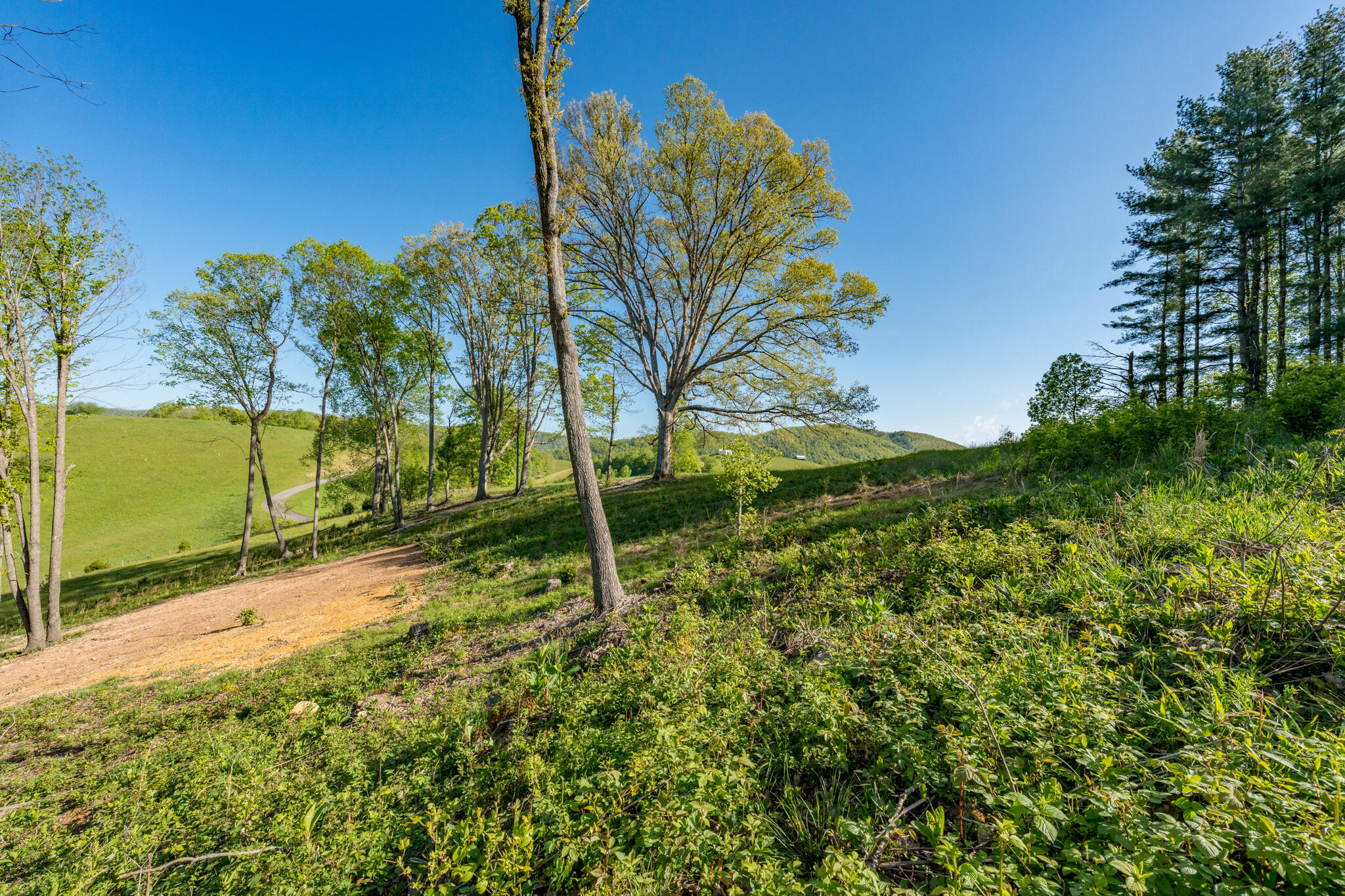 Lot 2 Of Dry Hill Road, Butler, Tennessee image 25