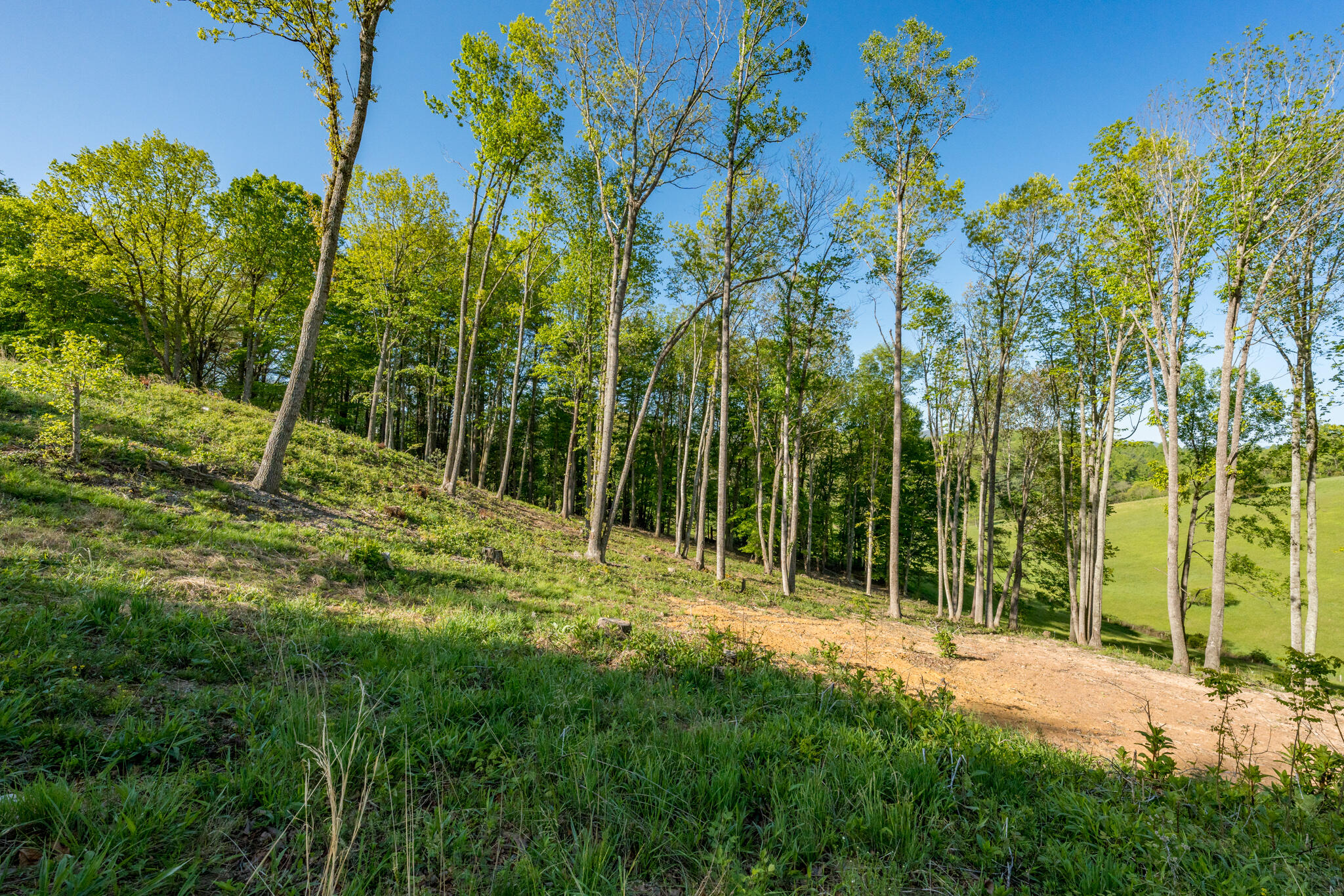 Lot 2 Of Dry Hill Road, Butler, Tennessee image 21