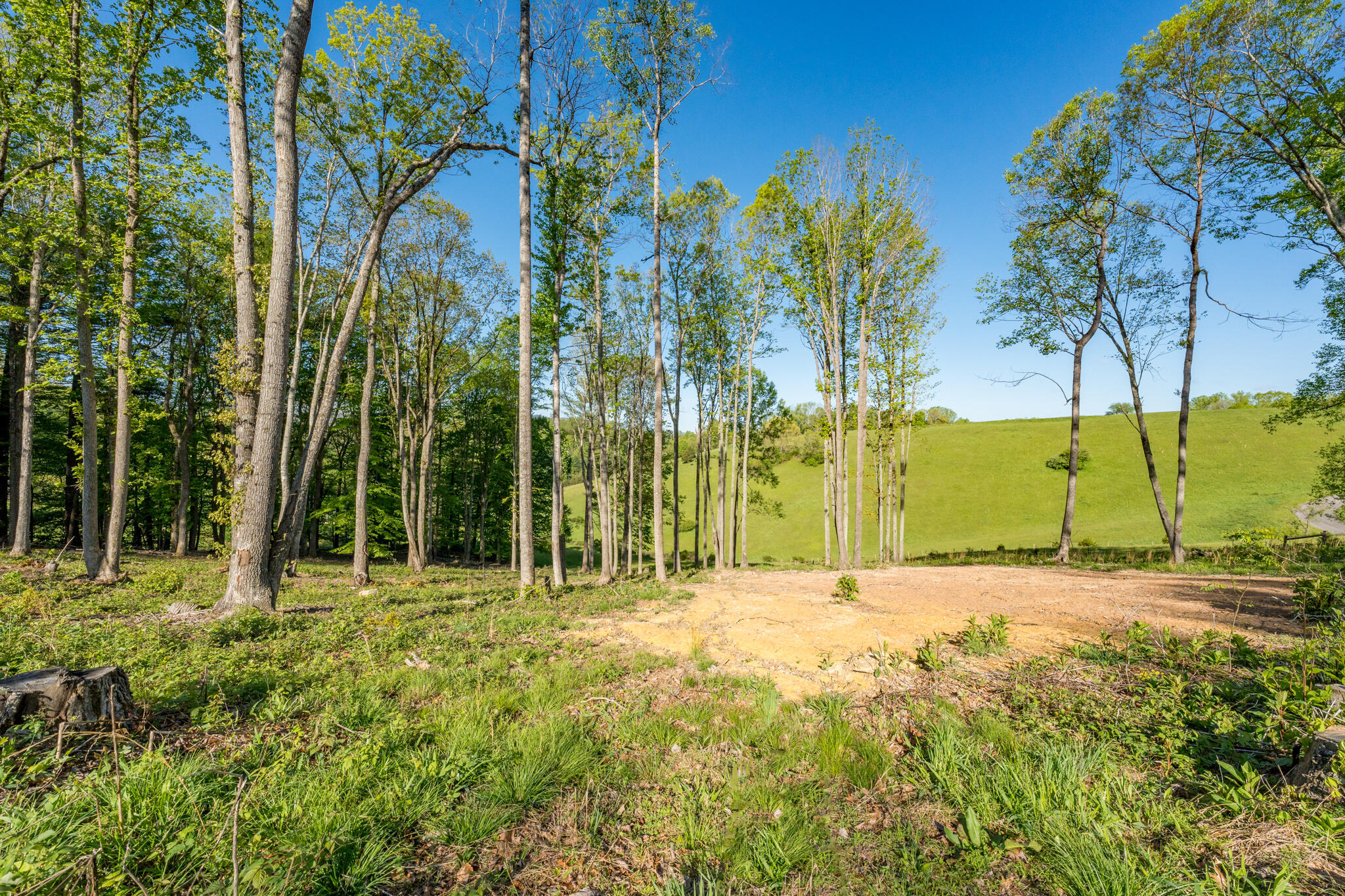 Lot 2 Of Dry Hill Road, Butler, Tennessee image 22