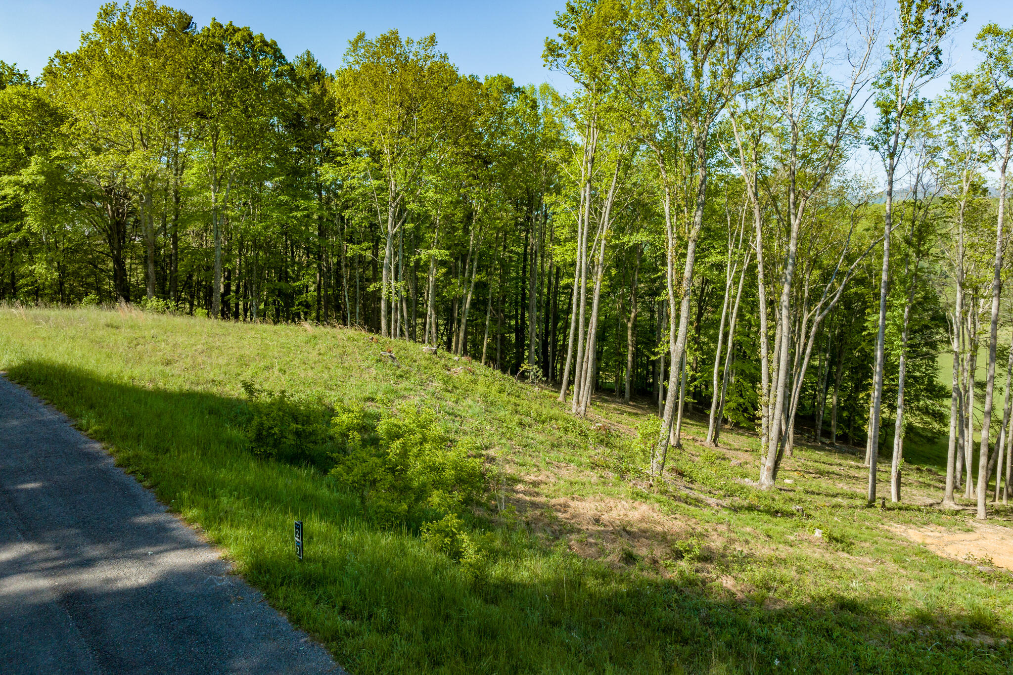 Lot 2 Of Dry Hill Road, Butler, Tennessee image 13