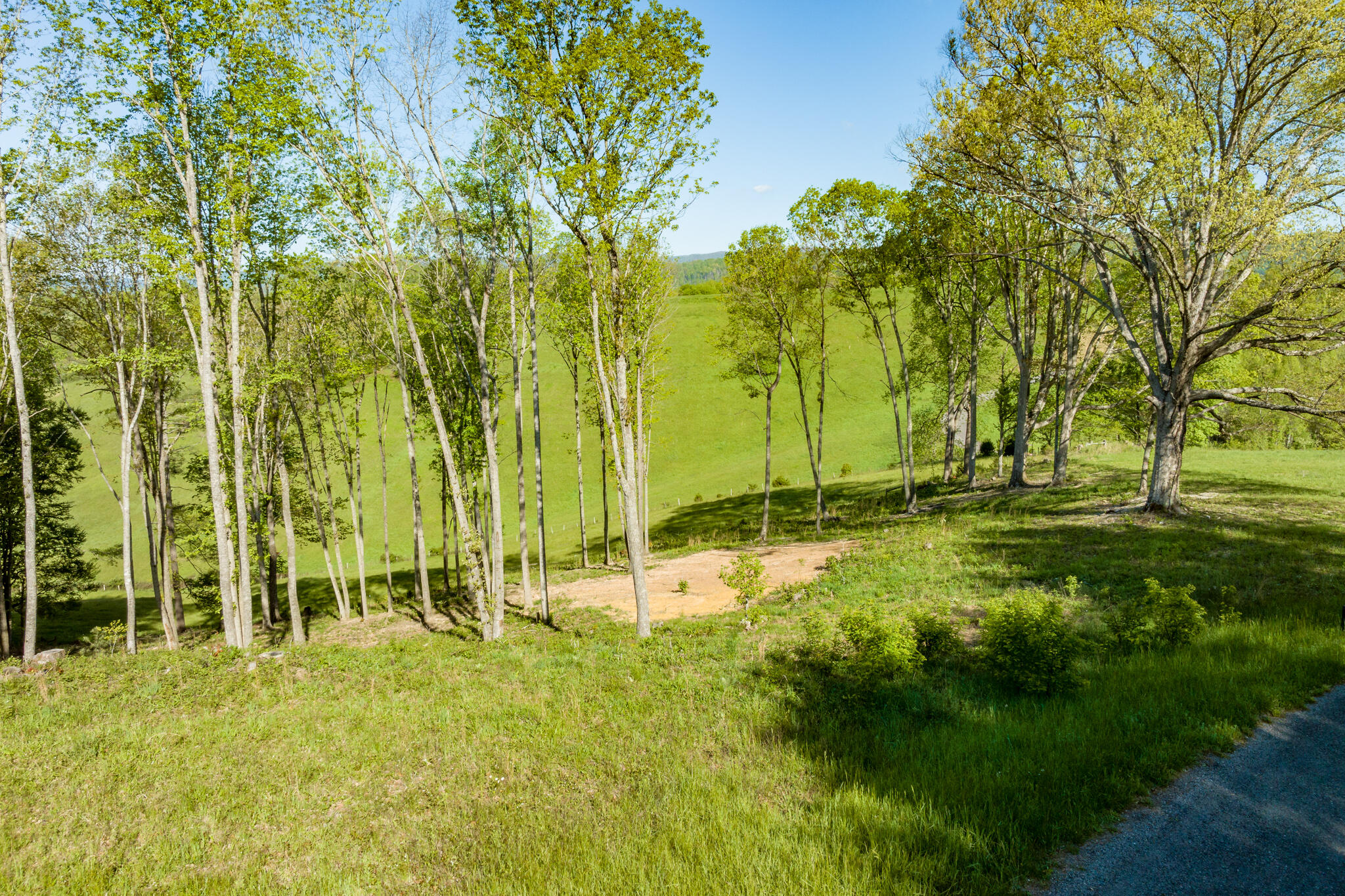 Lot 2 Of Dry Hill Road, Butler, Tennessee image 15
