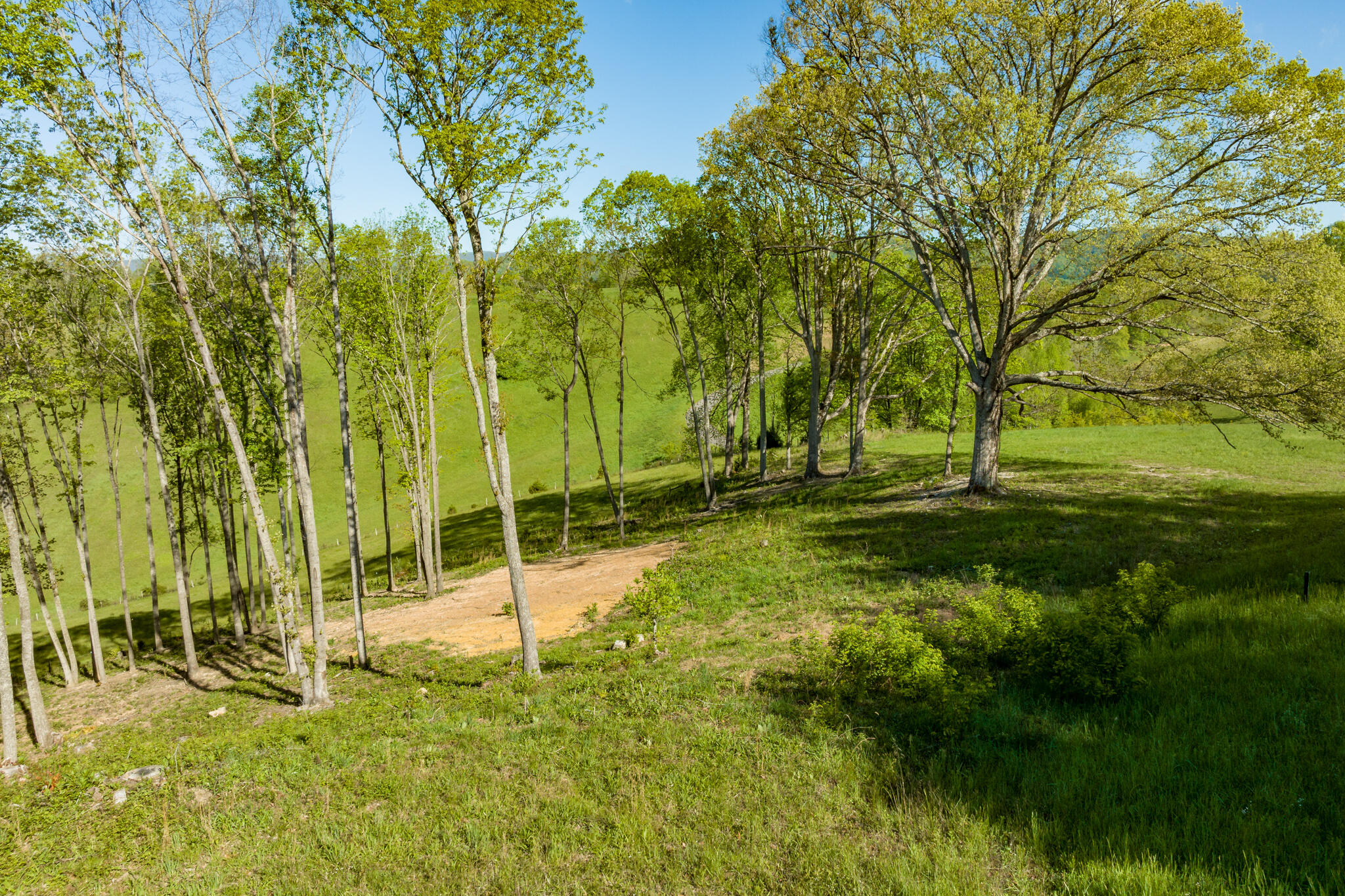 Lot 2 Of Dry Hill Road, Butler, Tennessee image 16