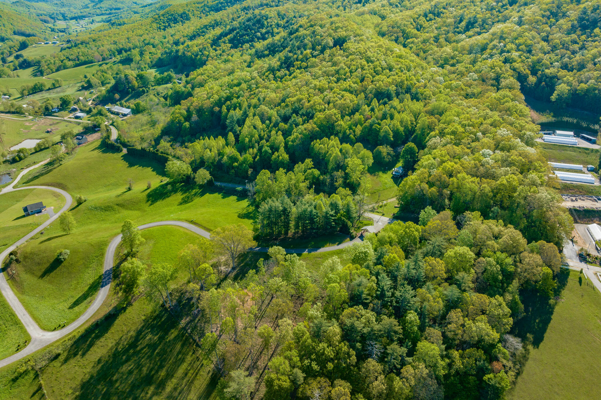 Lot 2 Of Dry Hill Road, Butler, Tennessee image 8