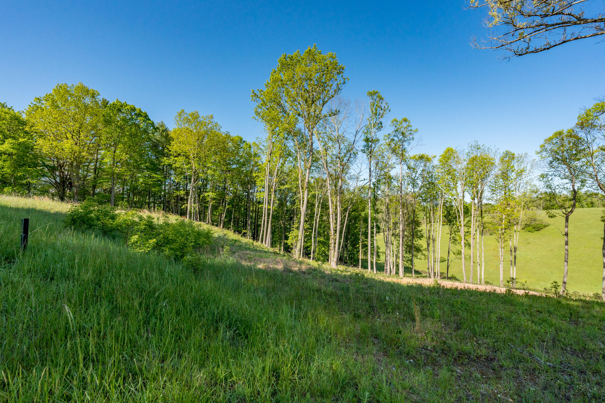 Lot 2 Of Dry Hill Road, Butler, Tennessee image 18