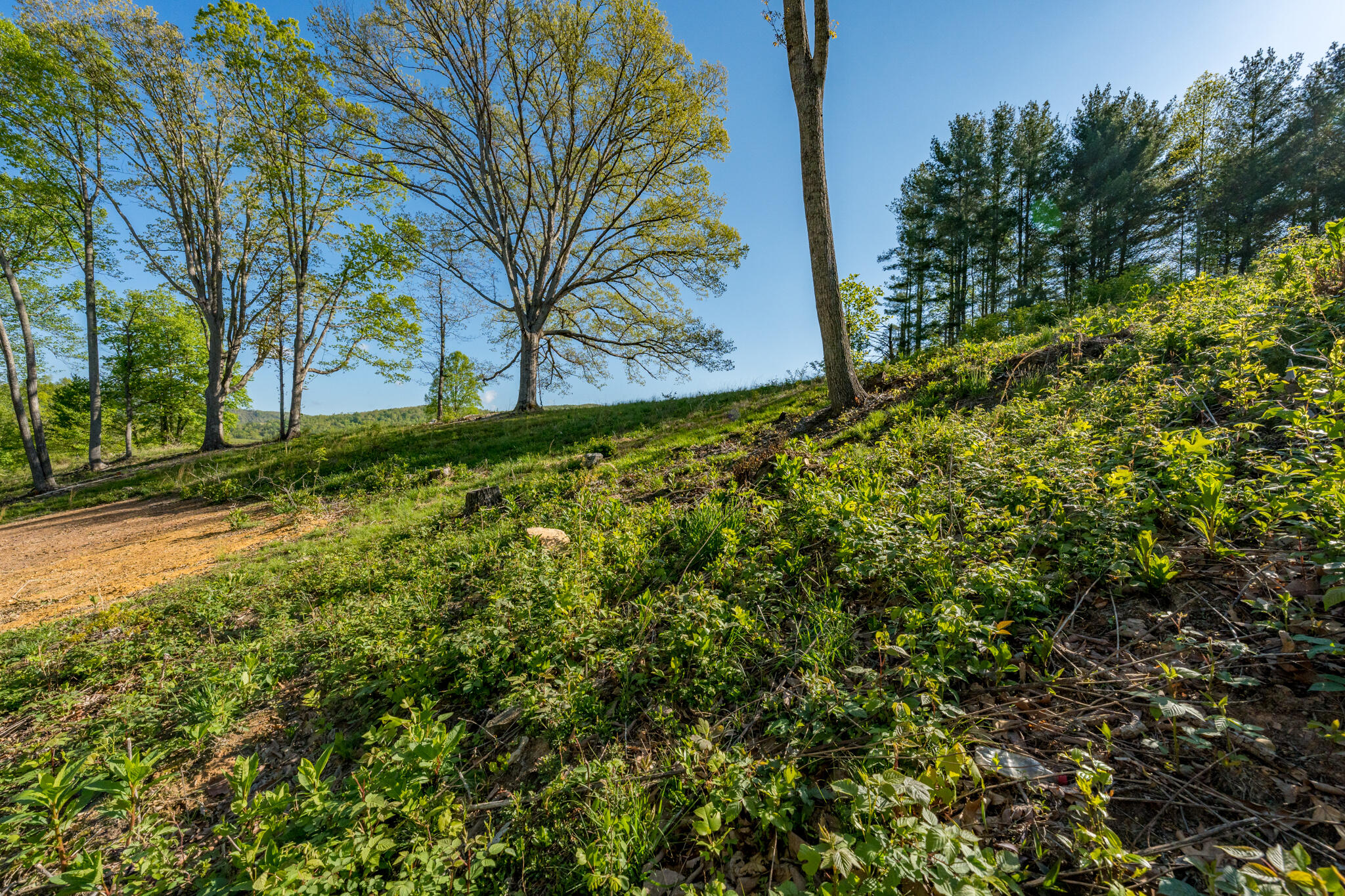 Lot 2 Of Dry Hill Road, Butler, Tennessee image 24