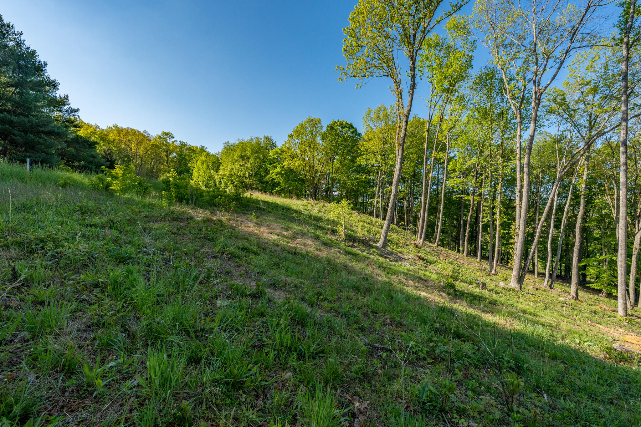 Lot 2 Of Dry Hill Road, Butler, Tennessee image 20