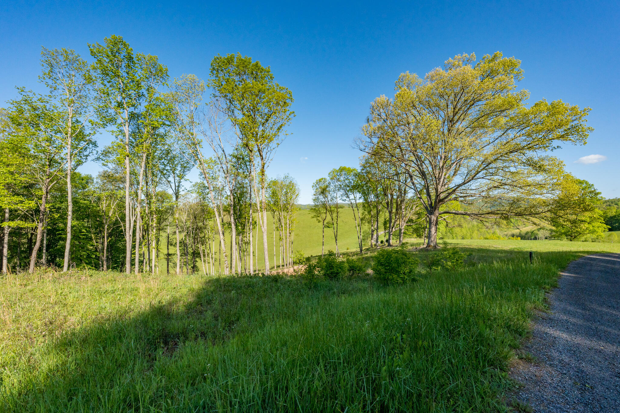 Lot 2 Of Dry Hill Road, Butler, Tennessee image 27