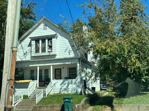 Tiny photo for 1180 Mary Street, Bristol, VA 24201 (MLS # 9986504)
