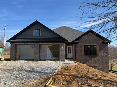 Photo of 121 Jessicas Way, Johnson City, TN 37615 (MLS # 9992077)