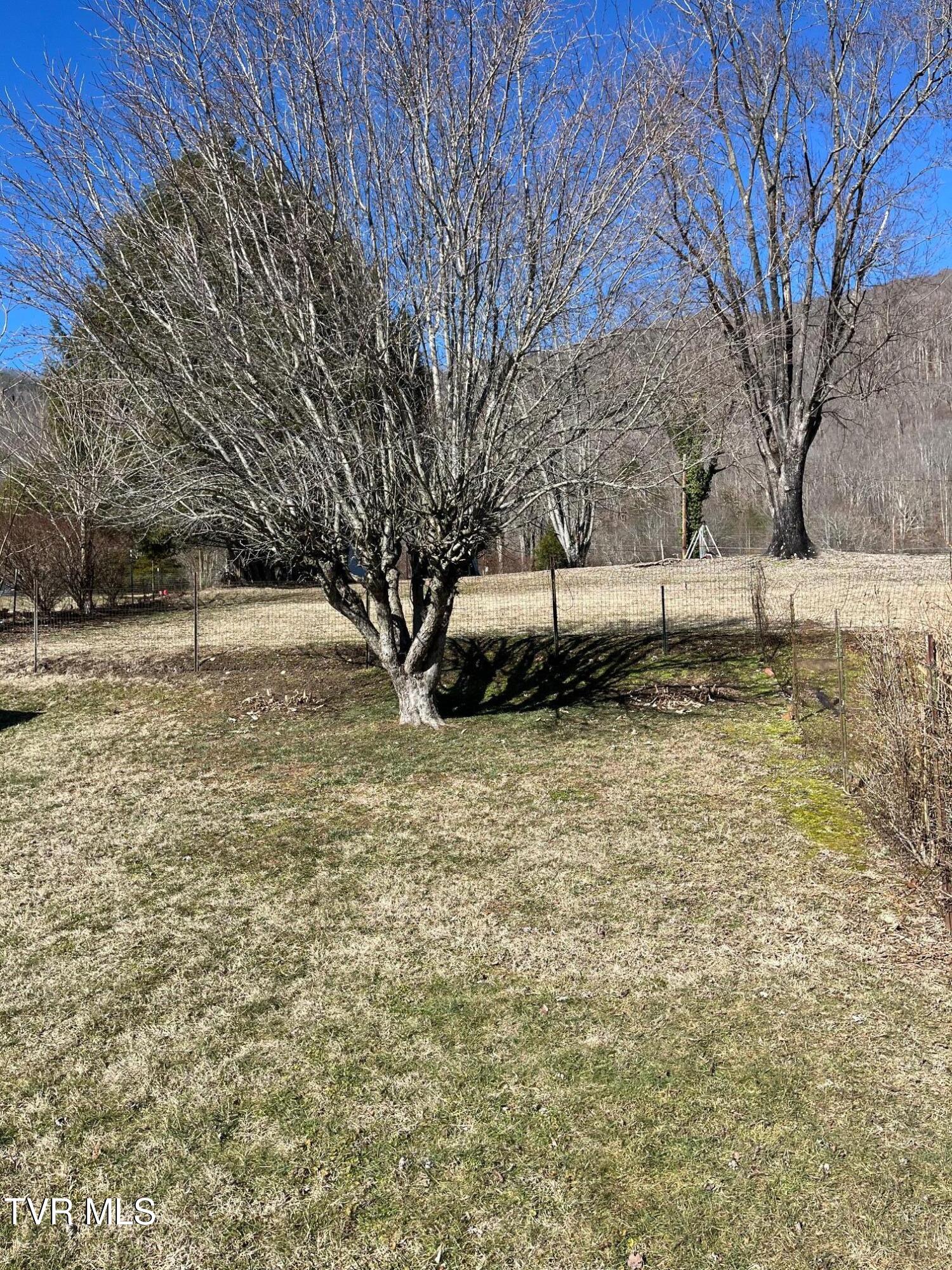 419 Second Avenue, Big Stone Gap, Virginia image 9